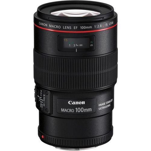 超美品 Canon MACRO EF 100mm F2.8 L IS USM EF100mm F2.8 マクロ USM - キヤノンカメラミュージアム