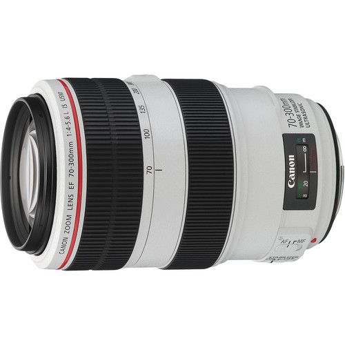 Canon EF 70-300mm F4-5.6 L IS USM